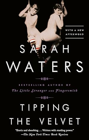 Immagine del venditore per Tipping the Velvet: A Novel venduto da Bay State Book Company