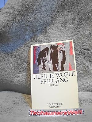 Imagen del vendedor de Freigang : Roman. a la venta por TschaunersWelt