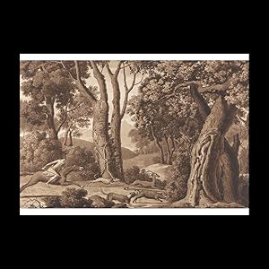 Immagine del venditore per Hunting in a Wood, A5 venduto da Contentum