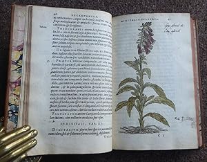 Bild des Verk�ufers f�r FLORUM, ET CORONARIARUM ODORATARUMQUE. NONNULLARUM HERBARUM HISTORIA. zum Verkauf von Roger Middleton P.B.F.A.