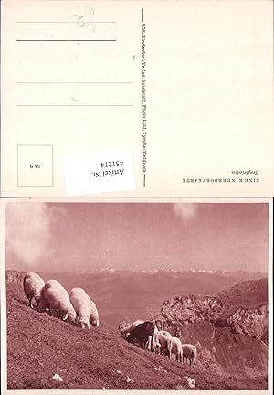 Seller image for 451214,SOS-Kinderdorf 54/9 Bergfrieden Schafe Schafherde Bergkulisse for sale by Versandhandel Lehenbauer