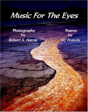 Imagen del vendedor de Music for the Eyes a la venta por ZBK Books