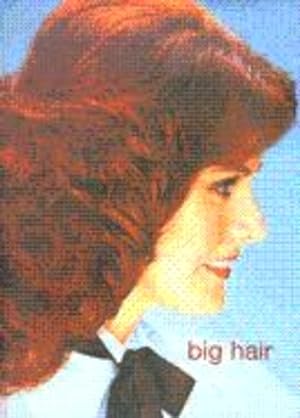 Imagen del vendedor de Big Hair a la venta por LEFT COAST BOOKS