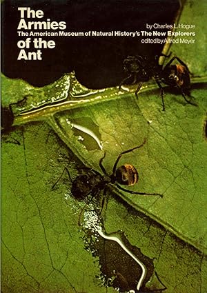 The Armies of the Ant