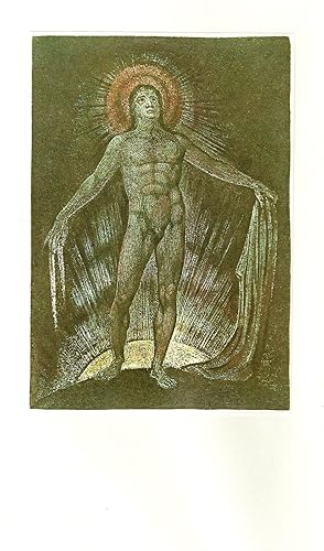 THE POEMS OF WILLIAM BLAKE