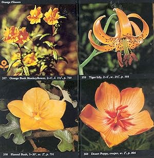 Immagine del venditore per The Audubon Society field guide to North American wildflowers, western region. venduto da Joseph Valles - Books