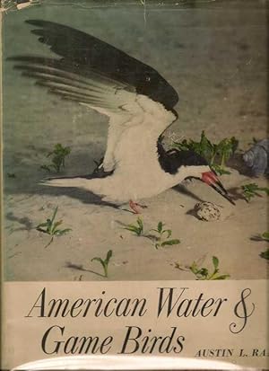 American Water and Game Birds