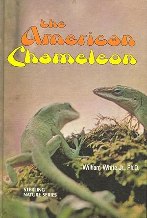 The American chameleon.