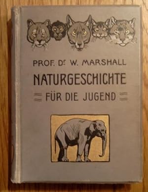 Naturgeschichte des Tierreiches. Nach Theodor Wood für die heranwachsende Jugend dargestellt.