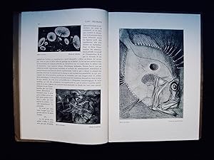 Imagen del vendedor de L'Art Dcoratif - Revue de l'art ancien et de la vie artistique moderne - Numro 169 - a la venta por Le Livre  Venir