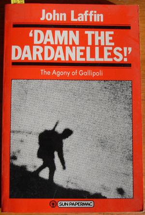 Damn the Dardanelles!:The Agony of Gallipoli