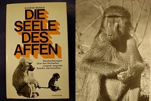 Bild des Verkufers fr Die Seele des Affen zum Verkauf von Buchantiquariat Uwe Sticht, Einzelunter.