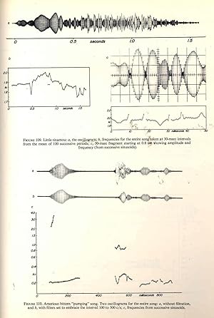 Seller image for Bird song : acoustics and physiology. [Instrumentation -- The syrinx -- A portfolio of whistled song -- The two acoustical sources -- Tracheal modulation -- Modulations: Real and spurious -- Source-generated modulations -- Frequency and time perception -- Harmonics -- Talking birds] for sale by Joseph Valles - Books