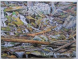 Seller image for David Armstrong Recent Work: Our Disappearing Anerican Landscape December 4th To January 5th, 1991 for sale by Martin Kaukas Books