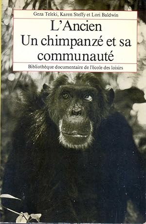 L'ancien. Un chimpanzé et sa communauté