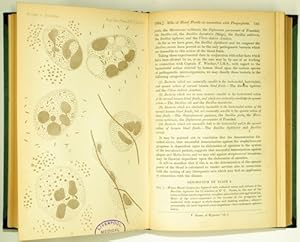 Bild des Verkufers fr An experimental investigation of the rle of the blood fluids in connection whith phagocytosis (72: pp.357-370; 73: 128-142, 1 Taf.). zum Verkauf von Antiq. F.-D. Shn - Medicusbooks.Com