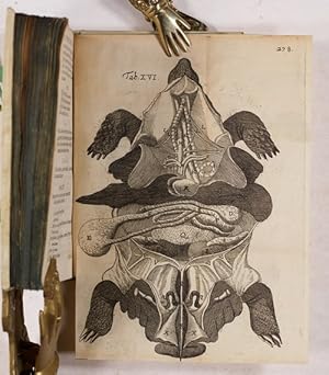 Image du vendeur pour Zootomiae seu anatomes variorum animalium pars prima (all publ.). mis en vente par Antiq. F.-D. Shn - Medicusbooks.Com