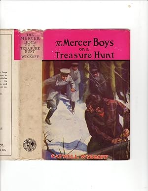 The Mercer Boys on a Treasure Hunt