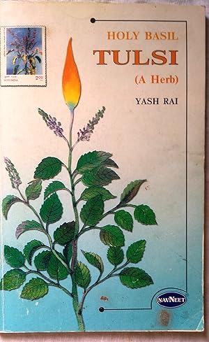 Holy Basil Tulsi ( A Herb )