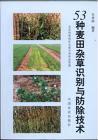Immagine del venditore per The technolgy of Recognition and Control on 53 kinds of Wheatfild weeds(Chinese Edition) venduto da liu xing