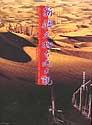 Immagine del venditore per A Grand View of Xinjiangs Cultural Relics and Historic Sites(Chinese Edition) venduto da liu xing