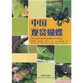 Imagen del vendedor de Ornamental Butterflies in China(Chinese Edition) a la venta por liu xing