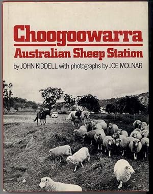 CHOOGOOWARRA Australian Sheep Station