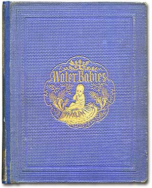 Seller image for The Water-Babies: A Fairy Tale for a Land-Baby for sale by Between the Covers-Rare Books, Inc. ABAA