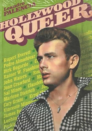 Seller image for Hollywood Queer for sale by Librera Cajn Desastre
