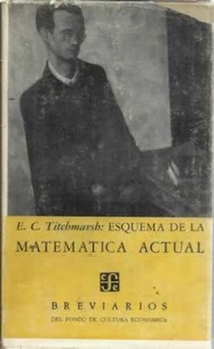 Image du vendeur pour ESQUEMA DE LA MATEMTICA ACTUAL mis en vente par Librera Cajn Desastre