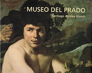 Bild des Verkufers fr Museo del Prado zum Verkauf von Librera Cajn Desastre