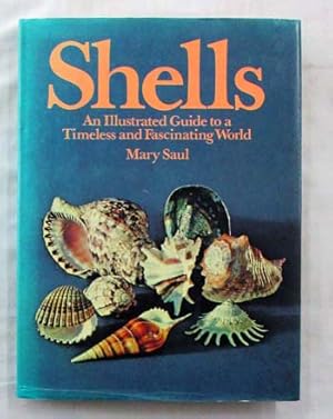 Shells An Illustrated Guide to a Timeless and Fascinating World