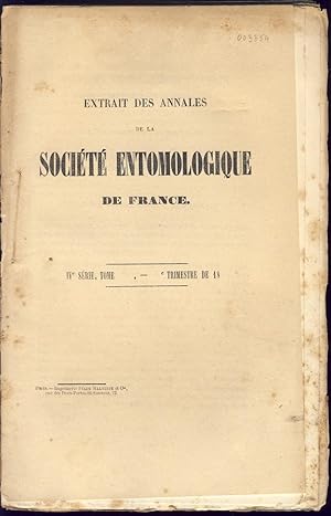 Coléoptères nouveaux trouvés en Espagne pendant l'excursion de la Société en 1865