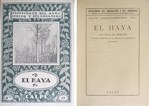 Imagen del vendedor de El Haya. a la venta por Hesperia Libros