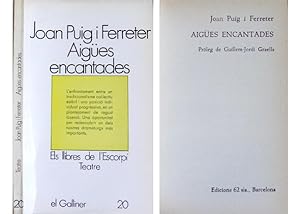AIGÜES ENCANTADES, JOAN PUIG I FERRETER, CASTELLNOU EDICIONS