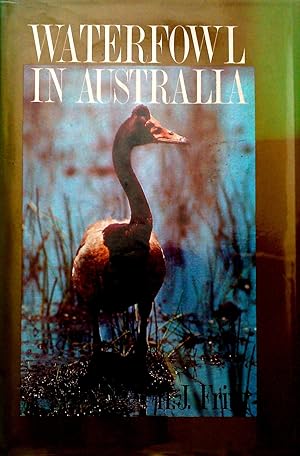 Seller image for Waterfowl in Australia for sale by Banfield House Booksellers