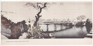 Characteristic Japan. Views and Characters in the Land of the Rising Sun. Published by Tamamura, ...