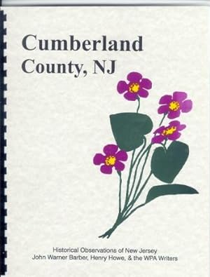 Imagen del vendedor de Historical Collections of the State of New Jersey / Cumberland County History a la venta por A Plus Printing