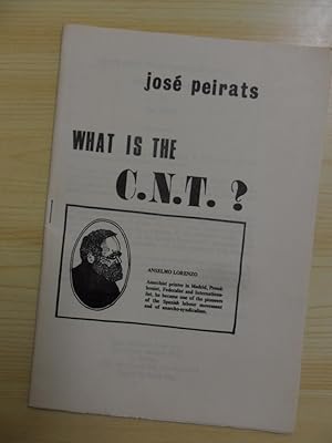 Seller image for What is the C.N.T.? for sale by Clement Burston Books