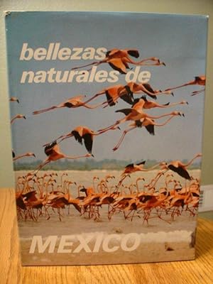 Bellezas Naturales De Mexico