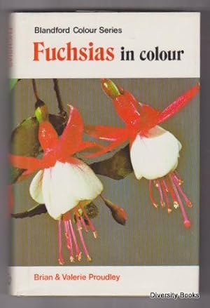 FUCHSIAS IN COLOUR