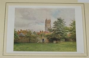 Seller image for Glastonbury Steeple from the Abbey Gardens. From the book, Wessex. for sale by PROCTOR / THE ANTIQUE MAP & BOOKSHOP