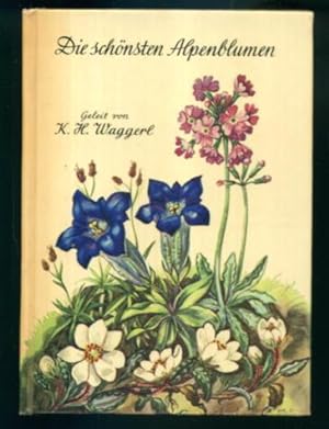 Seller image for Die Schonsten Alpenblumen for sale by Lazy Letters Books