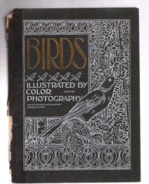 Birds/Illustrated by Color Photography/A Monthly Serial Designed to Promote Knowledge of Bird Lif...