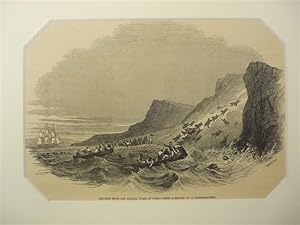 Sea-Lion hunt off callao, coast of Peru.- From a sketch by a correspondent. Holzstich von Smyth. ...