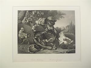 Cocks Fighting. Der Hahnenkampf. Stahlstich von Alfred Krause nach Hondekoetter. Um 1850. 13 x 17...