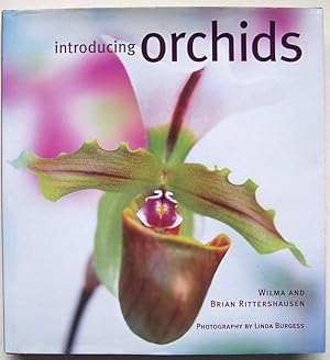 Seller image for Introducing Orchids for sale by Martin Kaukas Books