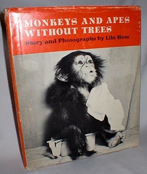 Monkeys and Apes Without Trees
