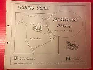 Fishing Guide: Dungarvon River: Renous River to Headwaters