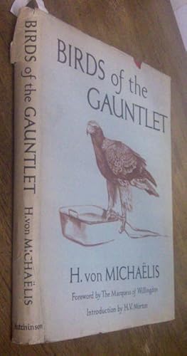 Birds of the Gauntlet